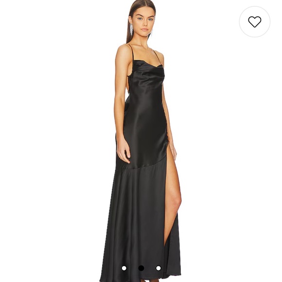NWT v Chapman gown - Picture 3 of 3